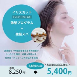 イリスヘアーの強髪プロクラムお試し価格