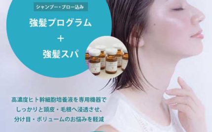イリスヘアーの強髪プロクラムお試し価格