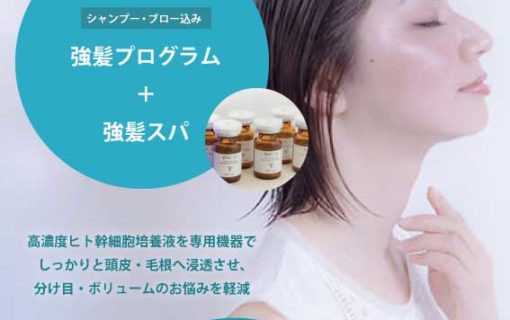 イリスヘアーの強髪プロクラムお試し価格